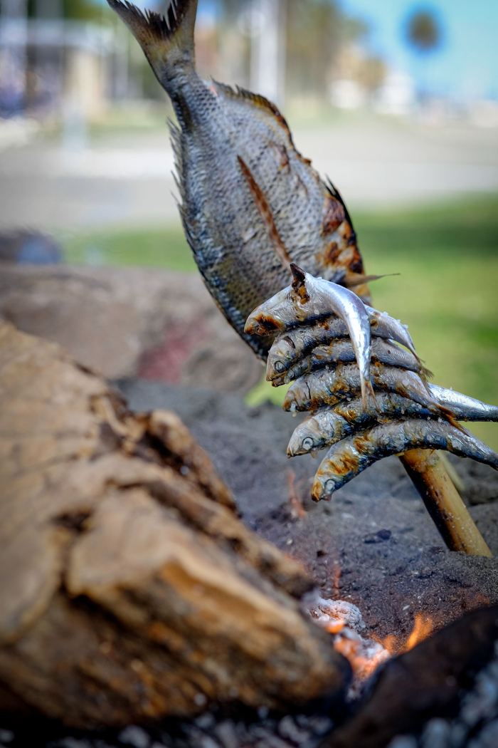 Sardinian fish on a skewer over glowing embers